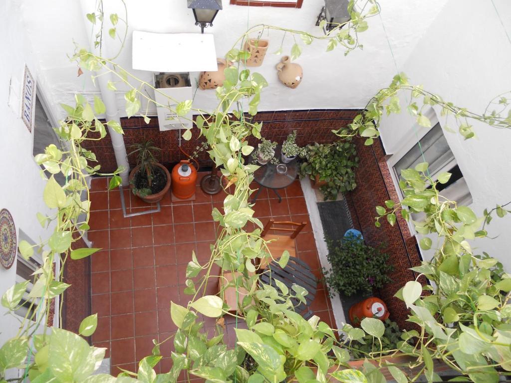 Santa María La Blanca 2*